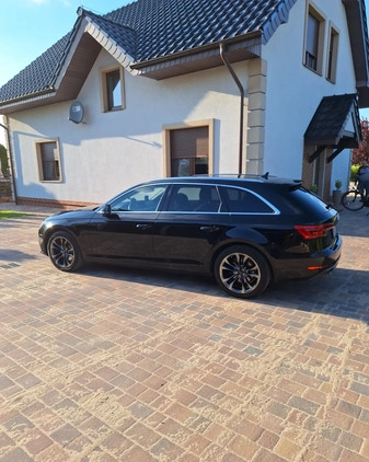 Audi A4 cena 69999 przebieg: 296500, rok produkcji 2016 z Rzgów małe 352